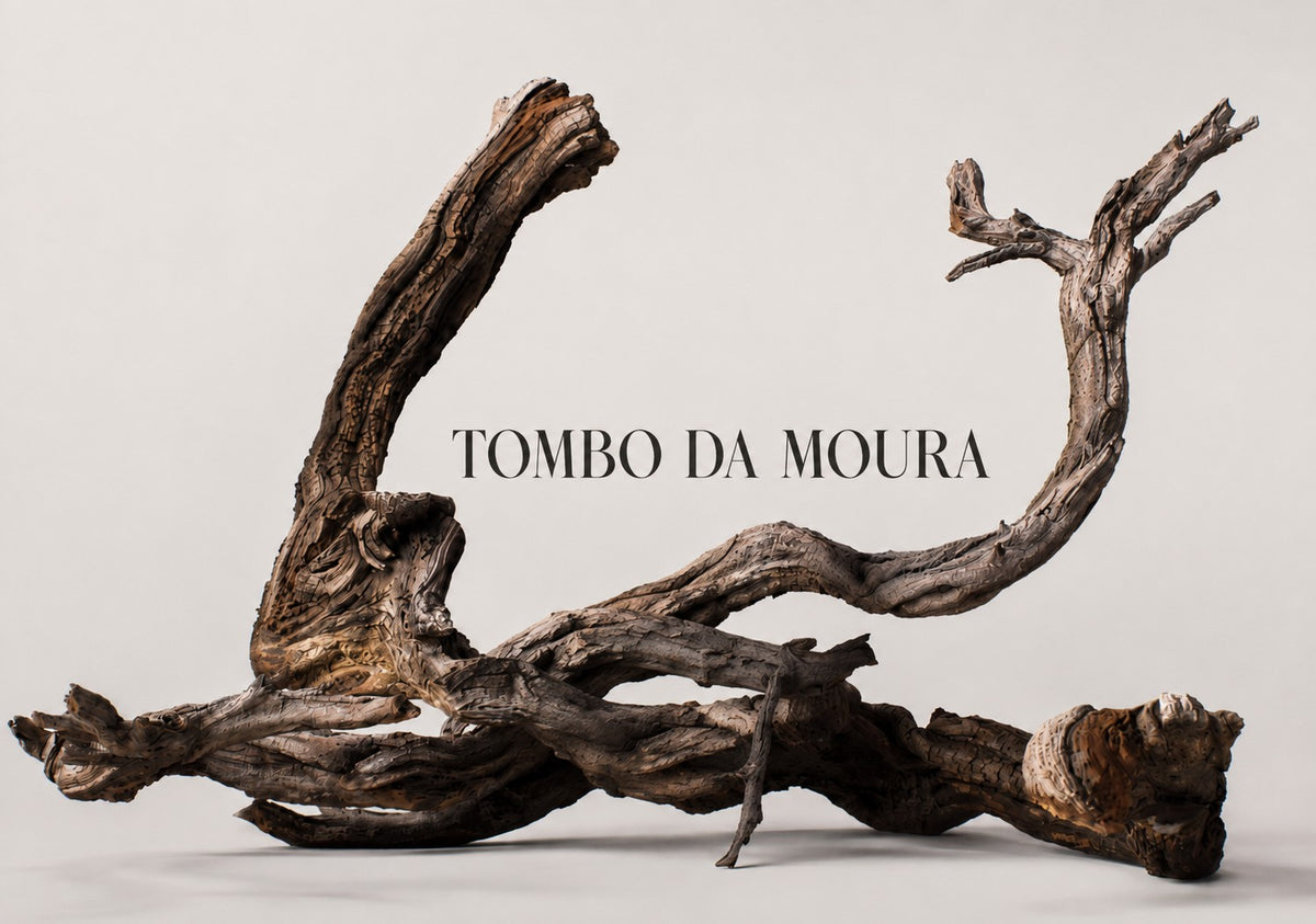 Tombo Da Moura